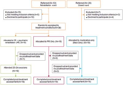 Cognitive Remediation in Middle-Aged or Older Inpatients with Chronic Schizophrenia: A Randomized Controlled Trial in Korea